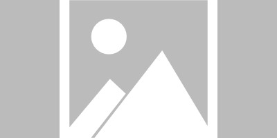 【德国杯】施韦因富特vs杜塞尔多夫伤病名单最新(2025年08月19日)